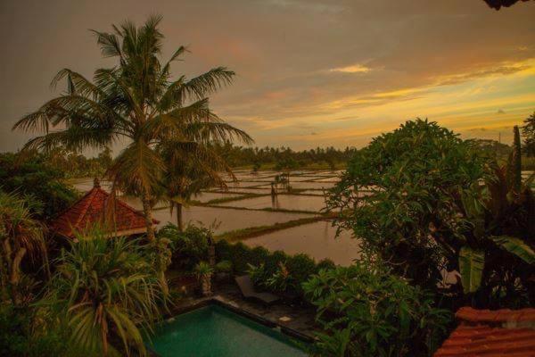 White House Hotel Ubud Exterior foto